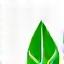Green leaf icon representing eco-friendly cleaning